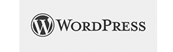 Diseño web wordpress