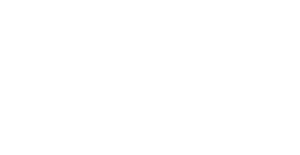 Diseño Web en WordPress
